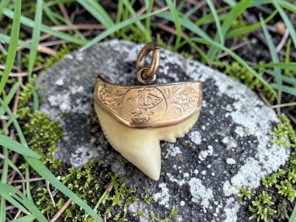 Vintage 9ct Gold Shark Tooth Pendant